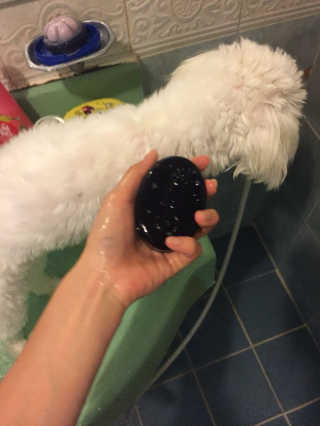 지비님이 올린 리뷰 사진 2