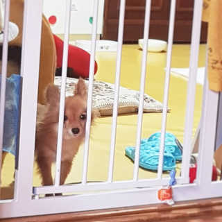 금진영님이 올린 리뷰 사진 1