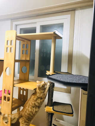 이아님이 올린 리뷰 사진 1