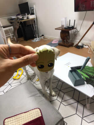 정봐기린님이 올린 리뷰 사진 1