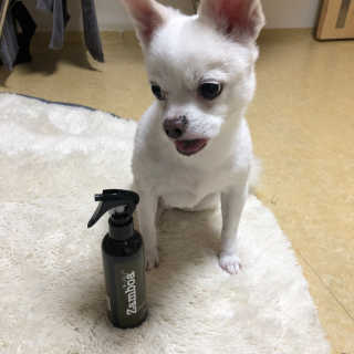 또매맘님이 올린 리뷰 사진 3