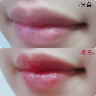 선지님이 올린 리뷰 사진 4