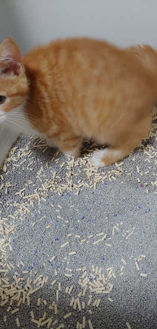 봄나님이 올린 리뷰 사진 1