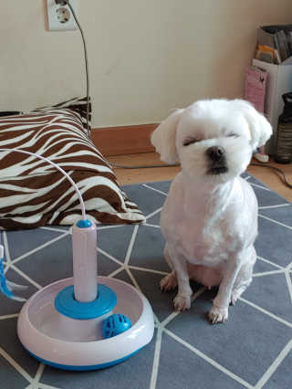 쥬앙쥬앙님이 올린 리뷰 사진 3