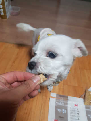 김상호님이 올린 리뷰 사진 3