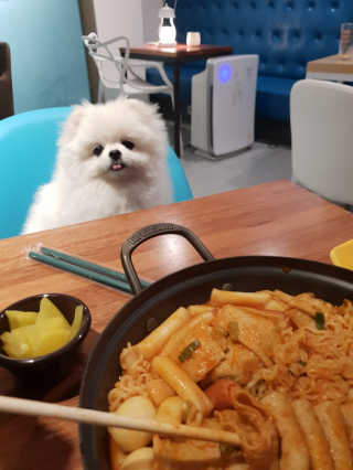 미루맘마님이 올린 리뷰 사진 1
