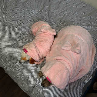 은지짱님이 올린 리뷰 사진 4
