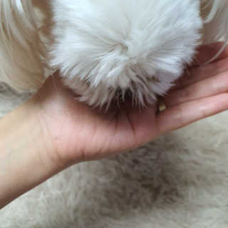 엣헴님이 올린 리뷰 사진 4