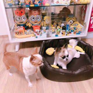 MoonHeeChoi님이 올린 리뷰 사진 2