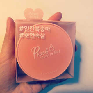 [블랙루즈] 피치 커버 벨벳 쿠션 2종 중 택1 — 5점을 준 리뷰어가 2019년 10월 올린 사용 사진