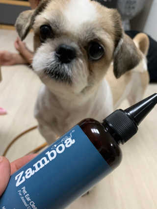 당근님이 올린 리뷰 사진 1