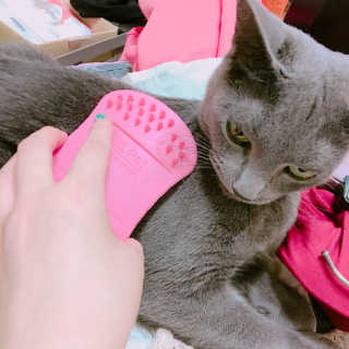 율집사님이 올린 리뷰 사진 4
