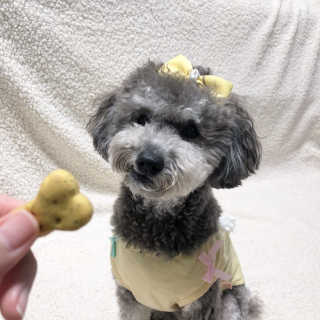 바니님이 올린 리뷰 사진 3