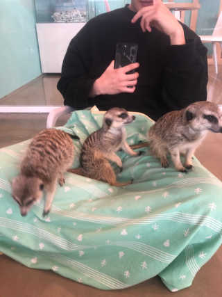 김채은님이 올린 리뷰 사진 1