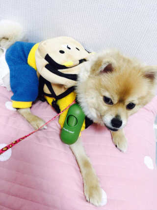 미한수님이 올린 리뷰 사진 3
