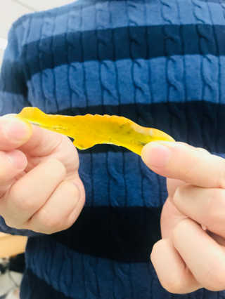 katy님이 올린 리뷰 사진 2