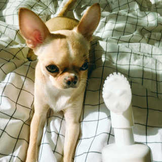 하얀비님이 올린 리뷰 사진 3