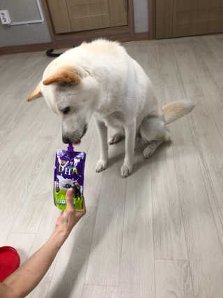 유르링님이 올린 리뷰 사진 1