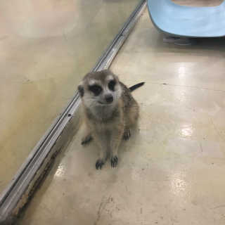 엄디님이 올린 리뷰 사진 3