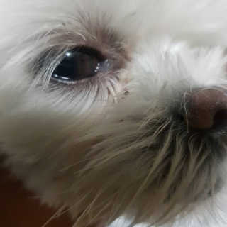 이다솜님이 올린 리뷰 사진 3