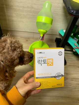 유산균하우스 [프로바이오닉]락토벳 — 5점을 준 리뷰어가 2019년 2월 올린 사용 사진