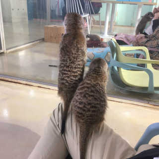 왓다동방러님이 올린 리뷰 사진 3