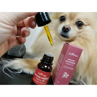 Peepingpomeranian님이 올린 리뷰 사진 2