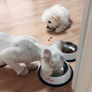 오나리님이 올린 리뷰 사진 3