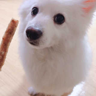 전지은님이 올린 리뷰 사진 3