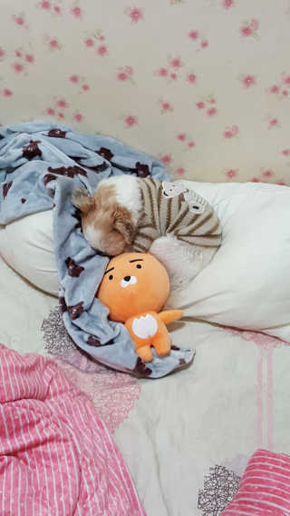 김공주님이 올린 리뷰 사진 2
