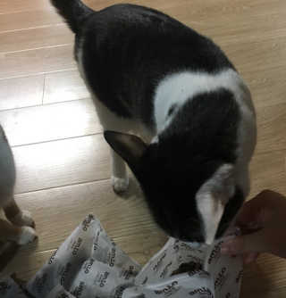포이로이님이 올린 리뷰 사진 3