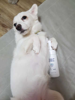 조슬기님이 올린 리뷰 사진 2