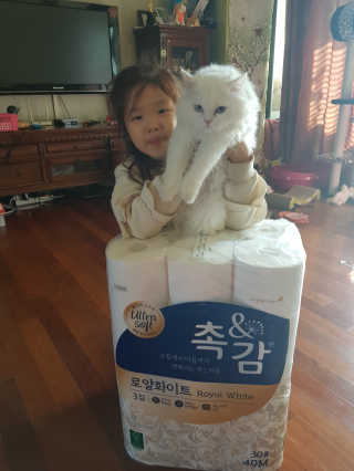 딸셋맘님이 올린 리뷰 사진 1
