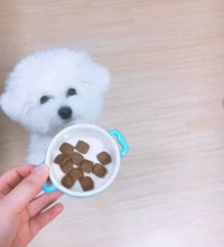sooing님이 올린 리뷰 사진 1