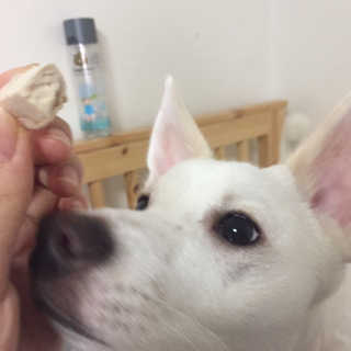 J님이 올린 리뷰 사진 4