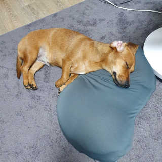이륜의님이 올린 리뷰 사진 3