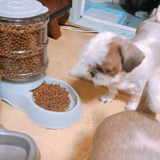 EunsolLee님이 올린 리뷰 사진 2