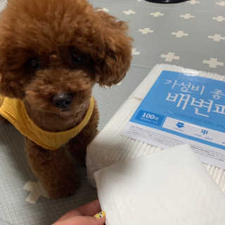 깅쪼니님이 올린 리뷰 사진 2