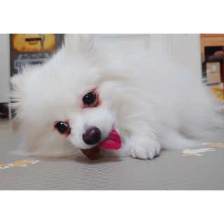 심쿵해에님이 올린 리뷰 사진 2