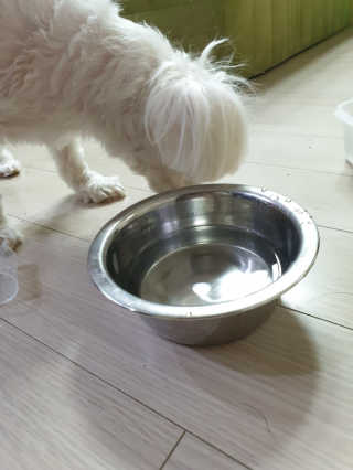 엣헴님이 올린 리뷰 사진 2