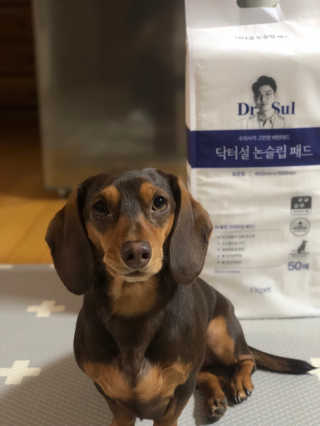 밍라맘님이 올린 리뷰 사진 1