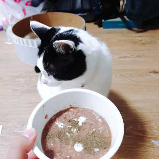 한라봉님이 올린 리뷰 사진 1