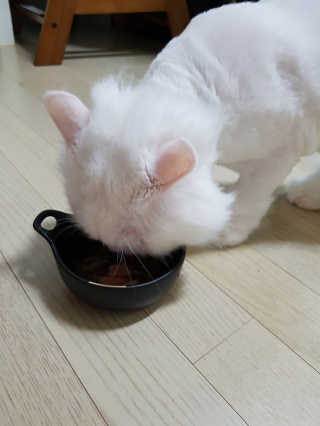 JiyounKim님이 올린 리뷰 사진 1