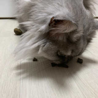 미코지혜님이 올린 리뷰 사진 2