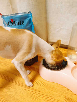 꼬몽쓰님이 올린 리뷰 사진 2