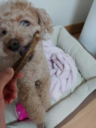 mizong님이 올린 리뷰 사진 3