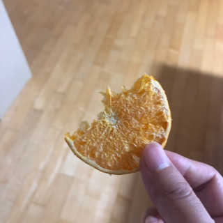 김보노님이 올린 리뷰 사진 3
