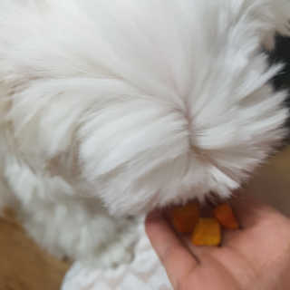 뽀오오옹님이 올린 리뷰 사진 3