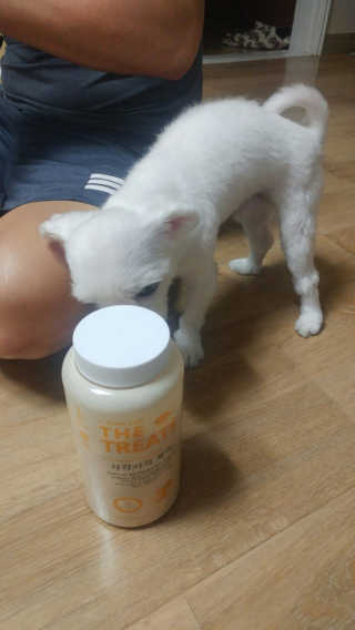 MinSeoJo님이 올린 리뷰 사진 2