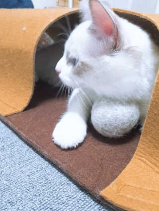 subi秀妃님이 올린 리뷰 사진 2